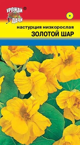 Лот: 12955464. Фото: 1. Семена настурции низкорослой... Садовые цветы
