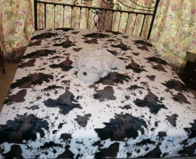 Лот: 1715056. Фото: 1. Покрывало из искусственного меха... Постельное бельё