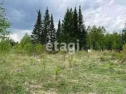 Лот: 25287500. Фото: 1. 2-комн. дача , садоводческое некоммерческое... Дачи