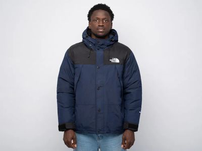 Лот: 24976245. Фото: 1. Куртка зимняя The North Face. Верхняя одежда