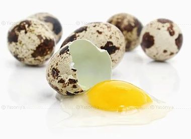 Лот: 7168890. Фото: 1. Яйцо перепелиное пищевое (упаковка... Мясо, птица, яйцо