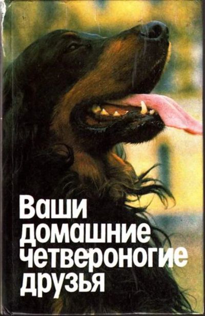 Лот: 23445042. Фото: 1. Ваши домашние четвероногие друзья. Домашние животные