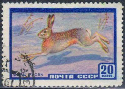 Лот: 25557777. Фото: 1. 1960, март. Фауна СССР. № 2403... Марки