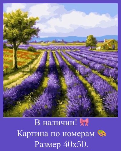 Лот: 14623006. Фото: 1. Картина по номерам. Лавандовое... Картины по номерам