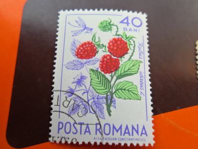 Лот: 15875966. Фото: 1. Почтовая марка № 1041 Торги с... Марки