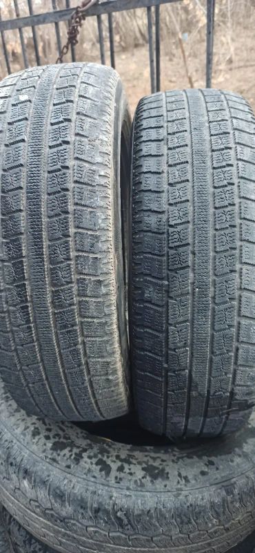 Лот: 22023871. Фото: 1. 175/70R14 Toyo Garit G-4. Шины