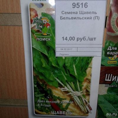 Лот: 9125075. Фото: 1. Семена / Щавель / Бельвильский... Пряные, лекарственные растения и зелень