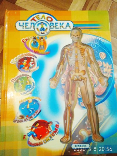Лот: 15615409. Фото: 1. Книга "тело человека". Книги