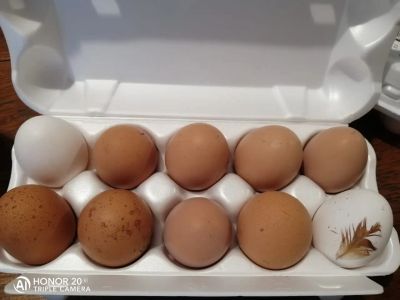Лот: 19874453. Фото: 1. Яйцо домашнее деревенское крупное... Мясо, птица, яйцо