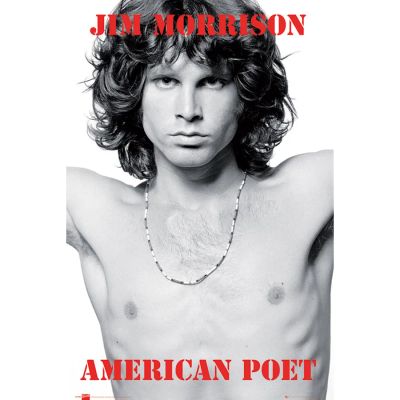 Лот: 7791283. Фото: 1. Плакат Джим Моррисон The Doors... Вещи известных людей, автографы