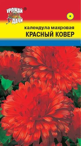 Лот: 12877017. Фото: 1. Семена календулы махровой "Красный... Садовые цветы