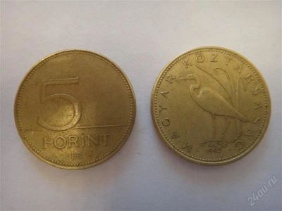 Лот: 2070811. Фото: 1. Венгрия 5 форинт 1993 год. Европа