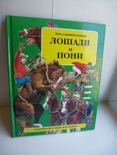 Лот: 10246107. Фото: 1. Эти удивительные лошади и пони. Познавательная литература