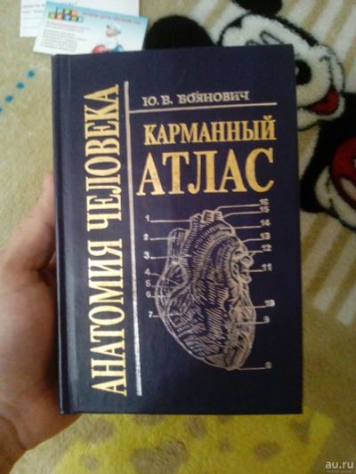 Лот: 13037409. Фото: 1. книга анатомия человека. карманный... Книги