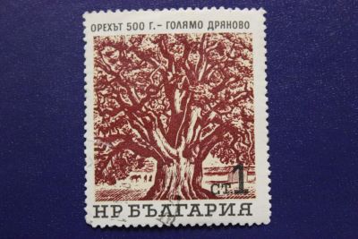 Лот: 8530492. Фото: 1. Почтовая марка №6208 в коллекцию. Марки