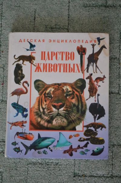 Лот: 4706579. Фото: 1. Две детские энциклопедии. Другое (литература, книги)