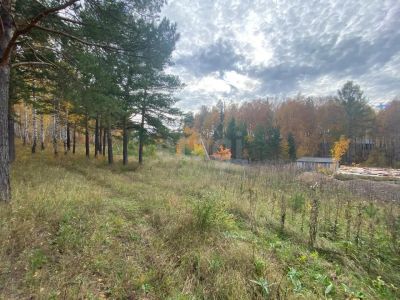 Лот: 25777969. Фото: 1. участок , СТ Калашниково Длинная... Земельные участки