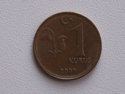 Лот: 3537738. Фото: 1. Турция, 1 куруш (2009 г.). Ближний восток