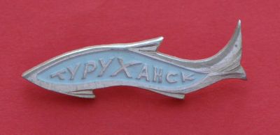 Лот: 9386681. Фото: 1. Знак в виде рыбы: Город Туруханск... Сувенирные