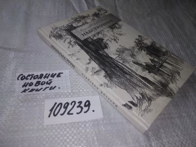 Лот: 20867603. Фото: 1. (109239) Дмитриев Виталий. Надстрочник... Художественная