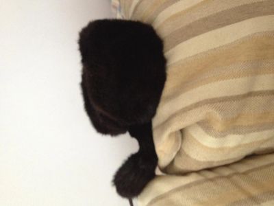 Лот: 5157328. Фото: 1. Шапка. Головные уборы