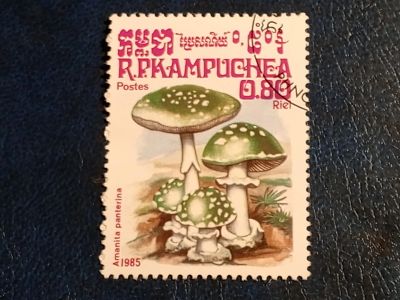 Лот: 25090077. Фото: 1. - Марки для Вашей коллекции. лот... Марки