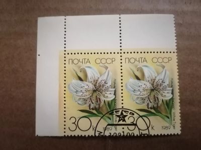 Лот: 25899971. Фото: 1. Флора. Цветы 1988 г. Сцепка. Марки