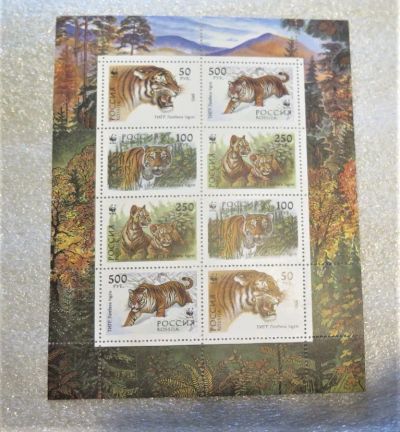 Лот: 13286413. Фото: 1. 1993, 25 ноября. Уссурийский тигр... Марки