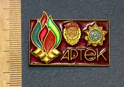 Лот: 12769704. Фото: 1. Значок: Пионерский лагерь: Артек... Сувенирные