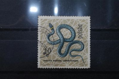 Лот: 3961150. Фото: 1. марка 5 Польша фауна. Марки