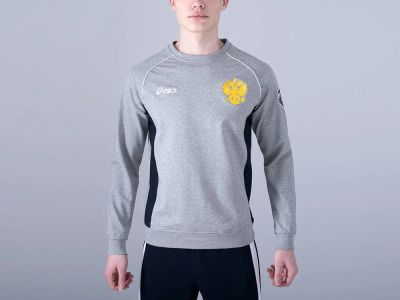 Лот: 13422171. Фото: 1. Свитшот Asics Артикул: 13509. Свитеры, толстовки, худи