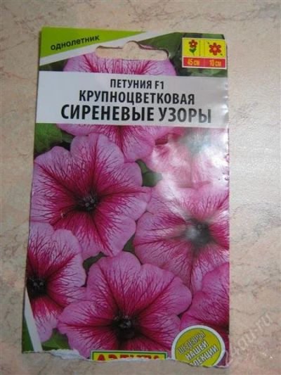 Лот: 2752191. Фото: 1. Петуния Сиреневые узоры (рассада... Другое (семена, рассада, садовые растения)