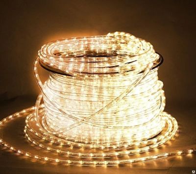 Лот: 16903205. Фото: 1. Дюралайт LED круглый, 2 жилы... Гирлянды, шарики, новогодние аксессуары