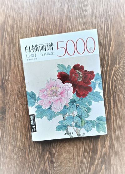 Лот: 24964897. Фото: 1. Книга по китайской живописи -... Другое (учебники и методическая литература)