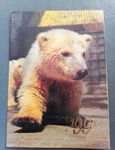 Лот: 21116131. Фото: 1. Календарик 1991 год. Медведь. Билеты, талоны