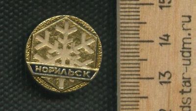 Лот: 19242987. Фото: 1. (№ 7995 ) значки Норильск,общий... Памятные медали
