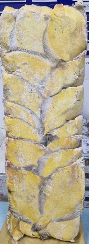 Лот: 20763611. Фото: 1. Камбала с/м н/р. Икра, рыба, морепродукты
