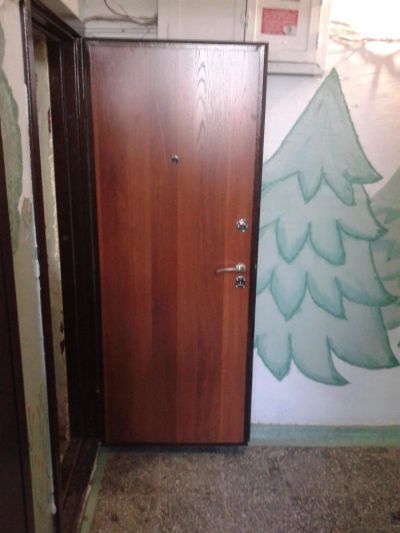 Лот: 6832588. Фото: 1. дверь входная. Эталон. Двери входные