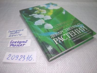 Лот: 25309651. Фото: 1. оз..вб..(2092316) Лавренов В.К... Популярная и народная медицина