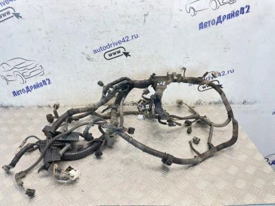 Лот: 25628887. Фото: 1. проводка двс Toyota Camry ACV40. Двигатель и элементы двигателя