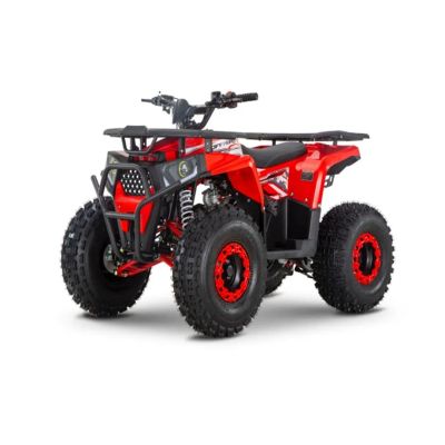 Лот: 24065674. Фото: 1. Квадроцикл WELS Trail 125. Снегоходы, квадроциклы