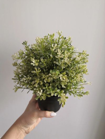 Лот: 17430622. Фото: 1. икеа ikea искусственный цветок... Горшечные растения и комнатные цветы