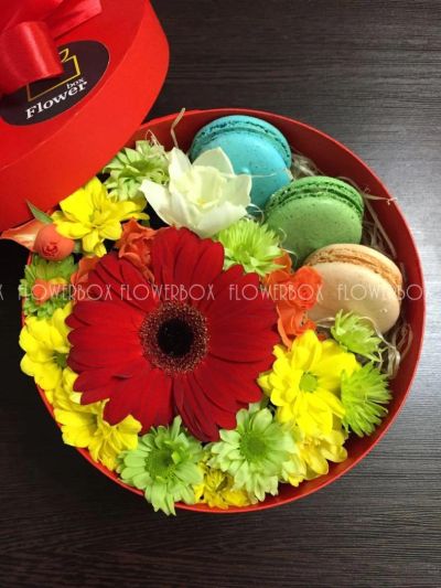 Лот: 7121774. Фото: 1. FlowerBox с макарунами (гербера... Другое (цветы, букеты)