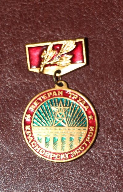 Лот: 4022455. Фото: 1. Знак на подвеске ветеран труда... Сувенирные