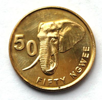 Лот: 3015234. Фото: 1. Замбия. 50 нгвее 2012 г.(070). Африка