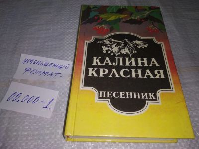 Лот: 19421568. Фото: 1. Калина красная. Песенник, В антологию... Досуг и творчество