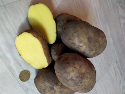 Лот: 15897536. Фото: 1. Продам картофель деревенский... Картофель