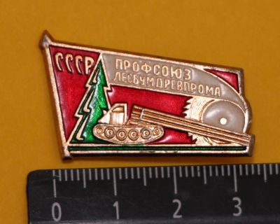 Лот: 10541423. Фото: 1. Значок: Профсоюз Лесбумдревпрома... Сувенирные