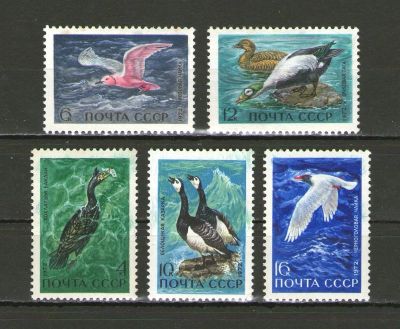 Лот: 9723762. Фото: 1. Полная серия "Морские птицы СССР... Марки