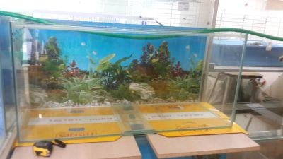 Лот: 5993333. Фото: 1. Аквариум 264л. Оборудование